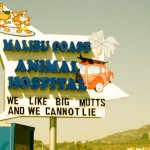 Funny Sign in Malibu CA